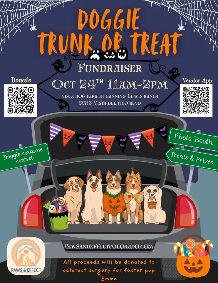Paws and Effect Trunk r Treat 2026 in vista park Colroado Springs on Oct 24th!